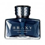 Освежитель воздуха для салона автомобиля BRAXY 1725 (royal fruity)