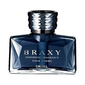 Освежитель воздуха для салона автомобиля BRAXY 1725 (royal fruity)
