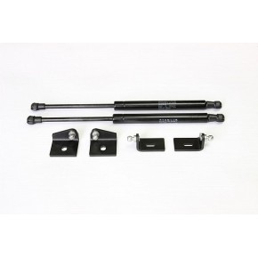 Упоры капота Rival для Citroen C4 2011-, 2 шт.
