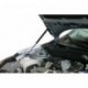 Упоры капота Rival для Datsun mi-DO 2014-/on-DO 2014-, 2 шт.