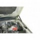 Упоры капота Rival для Mitsubishi Pajero IV 2006-, 2 шт.