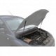 Упоры капота АвтоУПОР для Ford Focus II 2005-2008, 2 шт.