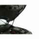 Упоры капота АвтоУПОР для Nissan Qashqai 2007-2014, 2 шт.