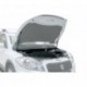 Упоры капота АвтоУПОР для Suzuki SX4 2013-, 2 шт.