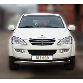 Защита передняя для SsangYong Kyron 2007-2015 (ОВАЛ) D 75x42