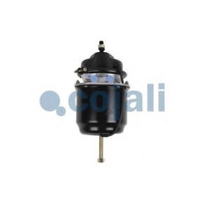 Энергоаккумулятор 24/30 дисковый тормоз MB/Volvo/Renault