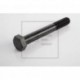 Болт амортизатора M20*2.5*180 BPW