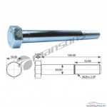 Болт амортизатора M20*2.5*160 Schmitz