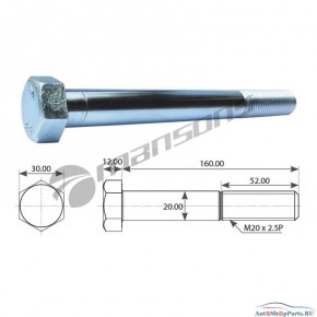 Болт амортизатора M20*2.5*160 Schmitz
