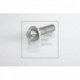 Болт крепления суппорта (ROTOS) M16*1,5*55 Schmitz