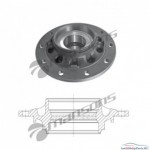 Ступица колеса SKRS9042 в сборе SAF