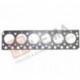 Прокладка ГБЦ MB Atego/Atego2 OM906LA/HLA