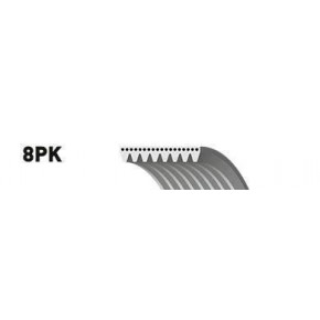 Ремень поликлиновой 8PK1375 MAN TGA
