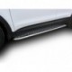 Пороги d42 с листом Hyundai Santa FE - 3 поколение