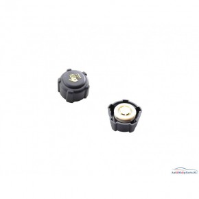 Крышка радиатора охлаждения двигателя 1,4/1,6/1,8 Renault Megane - 1 поколение