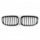 Решётка радиатора BMW F20/F21 1 series