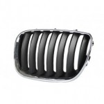 Решётка радиатора левая хром чёрная BMW E53 X5