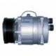 Компрессор кондиционера LIZARTE 81.06.01.038 R