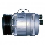 Компрессор кондиционера LIZARTE 81.06.01.038 R