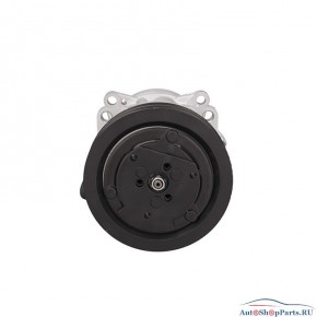 Компрессор кондиционера SANDEN SD7V16-1122 R