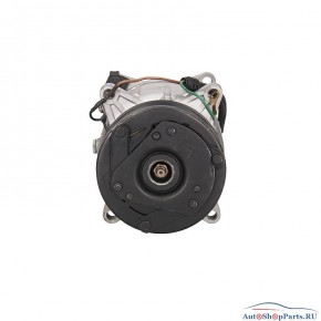 Компрессор кондиционера LIZARTE 81.06.01.037 R