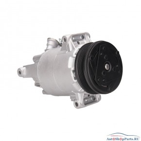 Компрессор кондиционера LIZARTE 81.06.17.019 R