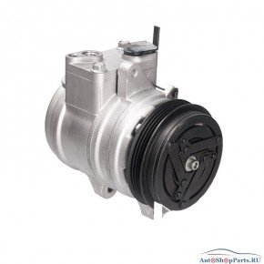 Компрессор кондиционера LIZARTE 81.06.21.011 R
