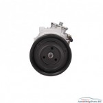 Компрессор кондиционера LIZARTE 81.10.58.008 R