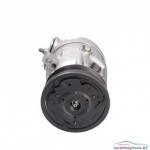 Компрессор кондиционера LIZARTE 81.06.01.068 R