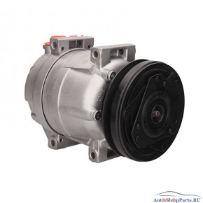 Компрессор кондиционера LIZARTE 81.06.02.014 R