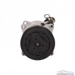 Компрессор кондиционера LIZARTE 81.14.16.004 R