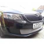 Защита радиатора Skoda Octavia A7 Scout 2013- chrome