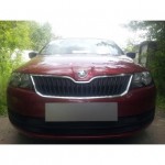 Защита радиатора Skoda Rapid 2013- black