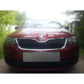 Защита радиатора Skoda Rapid 2013- black