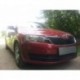 Защита радиатора Skoda Rapid 2013- black