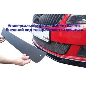 Зимний пакет Nissan Juke 2014- низ PREMIUM