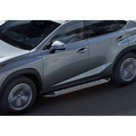 Пороги Rival Bmw-Style Lexus NX 2014-2017, овал 173 см