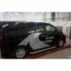 Пороги алюминиевые (Alyans) Toyota Alphard (2012-2015)